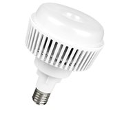 led_v170_standart_60w_230v_6500k_e40_megalight_18_